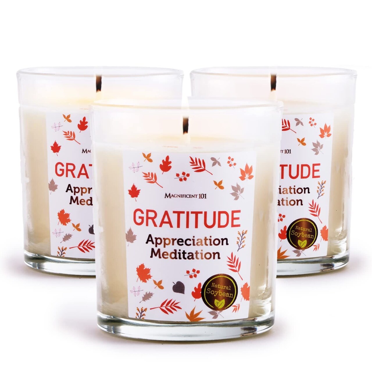 MAGNIFICENT 101 Money Candle Set - 3 Pack Gratitude & Abundance Candles - 3.5 Oz Each, Multicolor - 42 Hr Burn Soy Wax for Cleansing Negative Energy